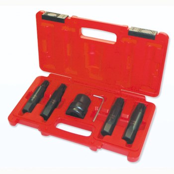INSERT BIT SOCKET SET - TORX 6 PC